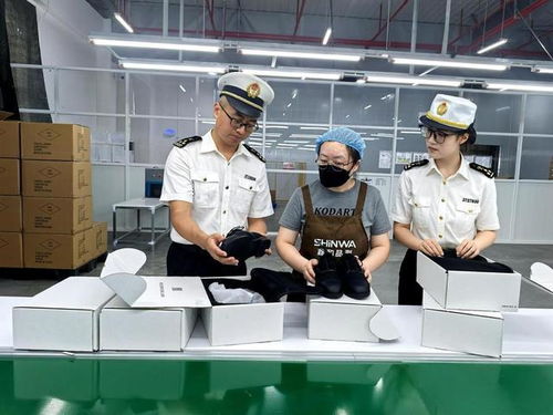 前7個月泉州市保稅物流進出口業(yè)務突破百億元大關，同比增長19.7%